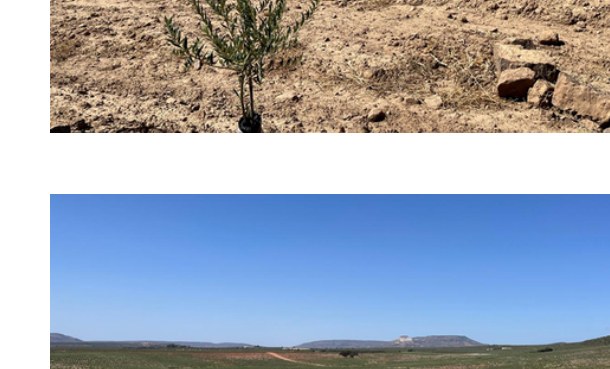 Vista abierta del campo