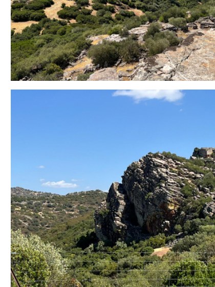 Roquedo y monte mediterráneo